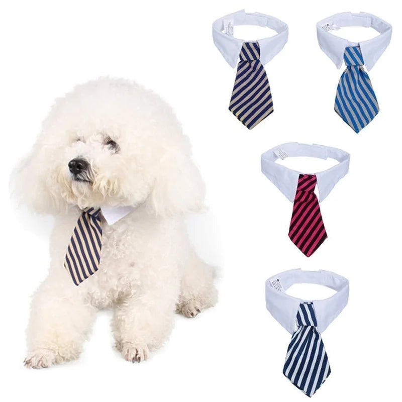 2023 Dog Cat Grooming | Striped Bow Tie - Adjustable Animal Collar | Christmas Pet Necktie | Formal White Collar for Dogs & Cats | Party & Wedding Wear