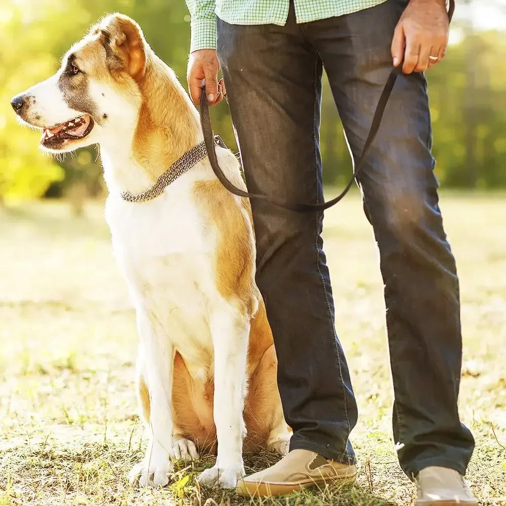 Braided Leather Dog Collar and Leash Set – Durable Genuine Cowhide for Medium & Large Dogs