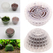Aquarium Moss Ball Holder – Transparent Plastic Aquatic Plant Container & Filter Decoration for Fish Shrimp Tanks