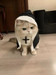 Nun Cloak Halloween Costume for Cats & Small Dogs | Breathable Cosplay Outfit | Funny Pet Photo Prop & Gift