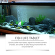 YEGBONG Algaecide 100ml – Rapid Water Purifier & Algae Inhibitor for Fish Tanks and Ponds