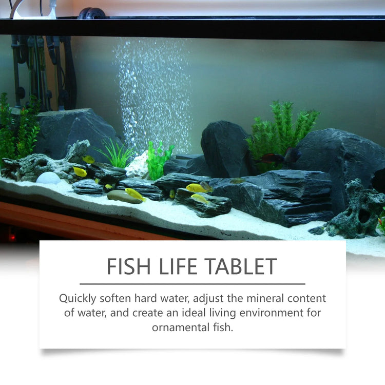 YEGBONG Algaecide 100ml – Rapid Water Purifier & Algae Inhibitor for Fish Tanks and Ponds