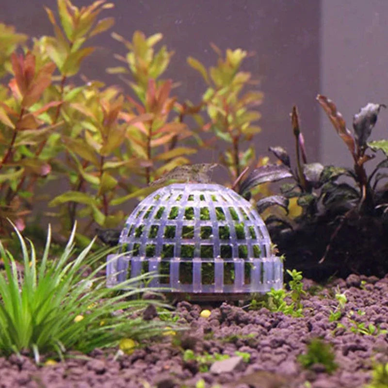 Aquarium Moss Ball Holder – Transparent Plastic Aquatic Plant Container & Filter Decoration for Fish Shrimp Tanks