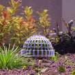 Aquarium Moss Ball Holder – Transparent Plastic Aquatic Plant Container & Filter Decoration for Fish Shrimp Tanks