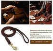 Braided Leather Dog Collar and Leash Set – Durable Genuine Cowhide for Medium & Large Dogs