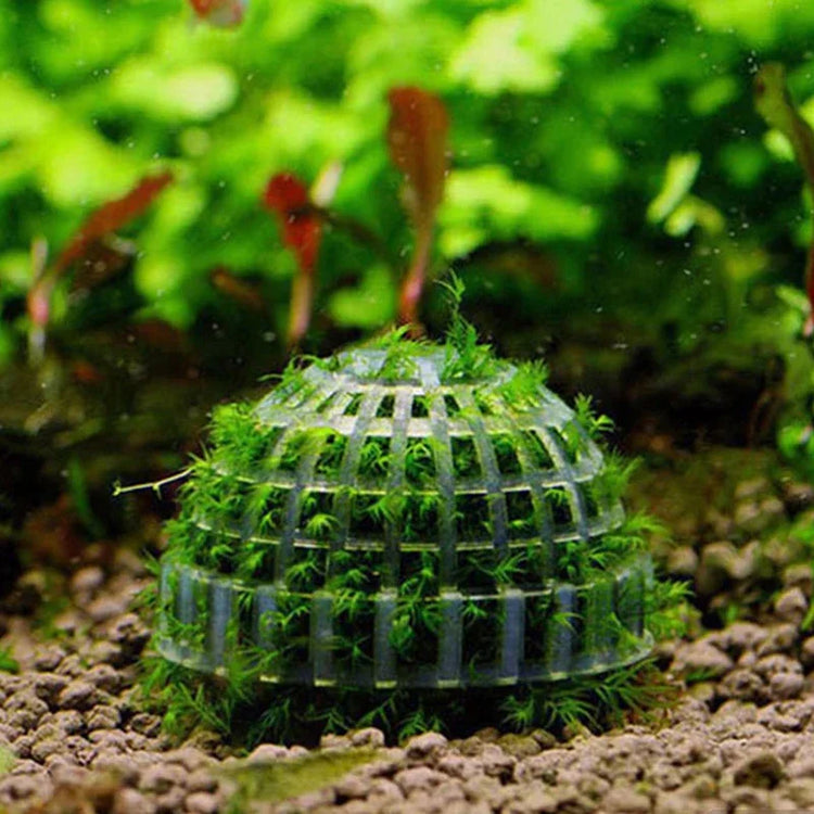 Aquarium Moss Ball Holder – Transparent Plastic Aquatic Plant Container & Filter Decoration for Fish Shrimp Tanks