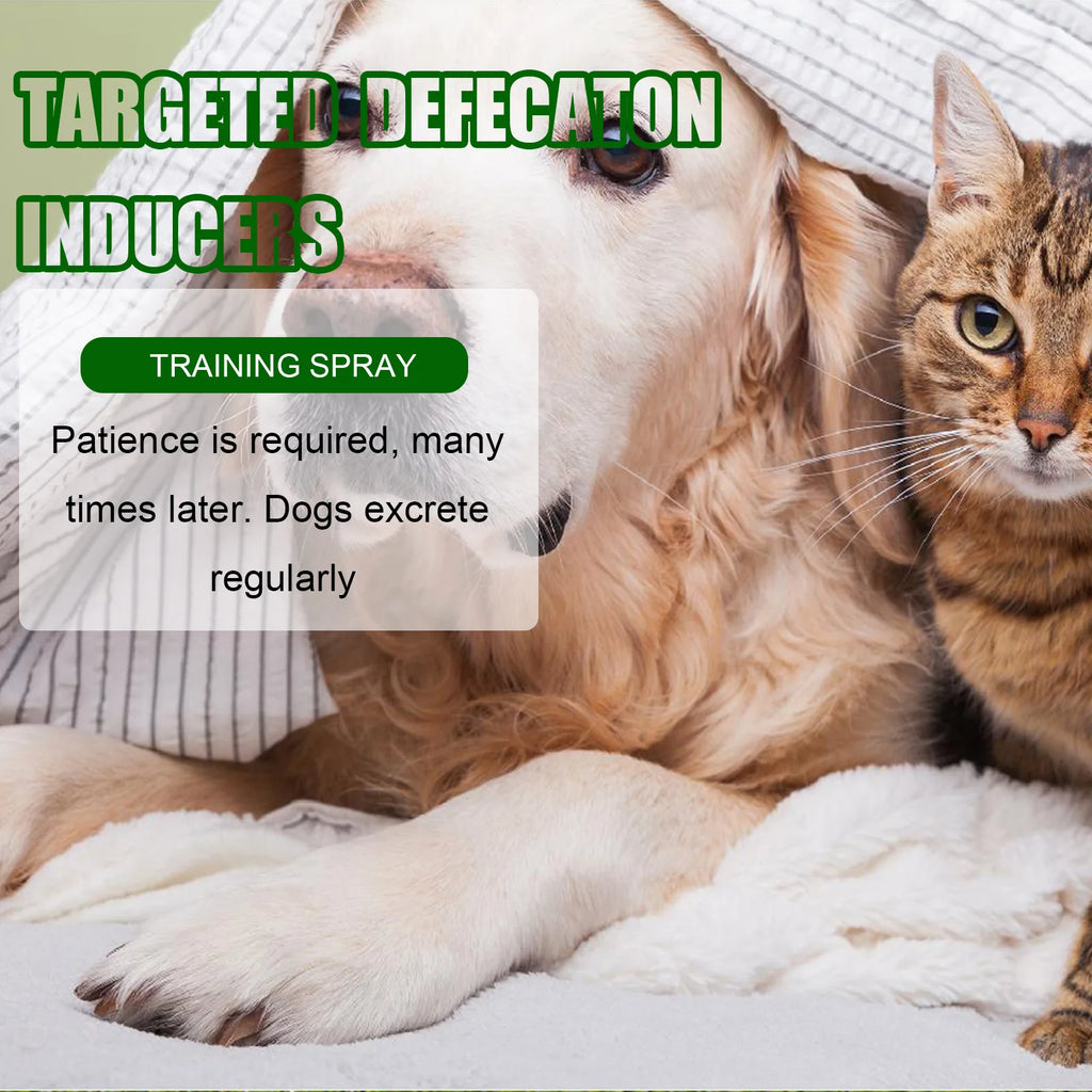 Pet Toilet Training Spray  30ml | Dog /Cat Potty Trainer | Natural Extract Formula