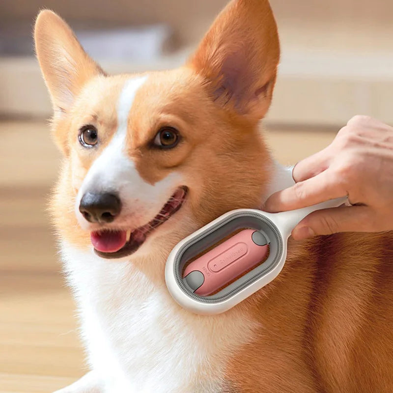 Clean Cat Dog Hair Removal Comb | Pet Grooming Brush | Wipes-Ready Brush for Cats/Dogs | Katten Accessories