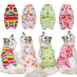 Post-Surgery Sterilization Suit for Female Cats | Anti-Licking Recovery Vest | Weaning Suit