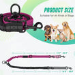 GOYN Upgraded Double Dog Leash with Shock Absorbing Bungee – Adjustable, Tangle-Free & Reflective