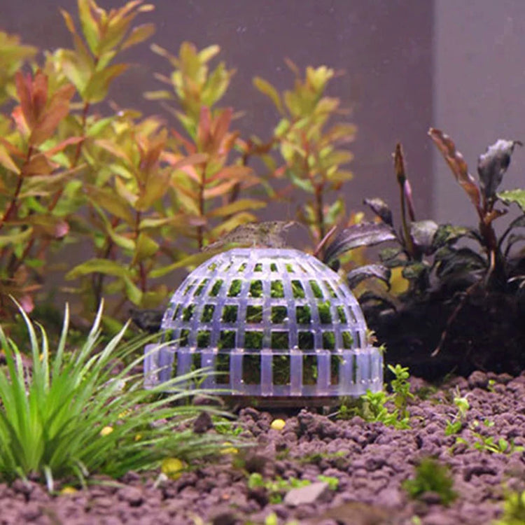 Aquarium Moss Ball Filter – Aquatic Plant Holder and Water Purifier for Fish Tanks and Shrimp Cylinders