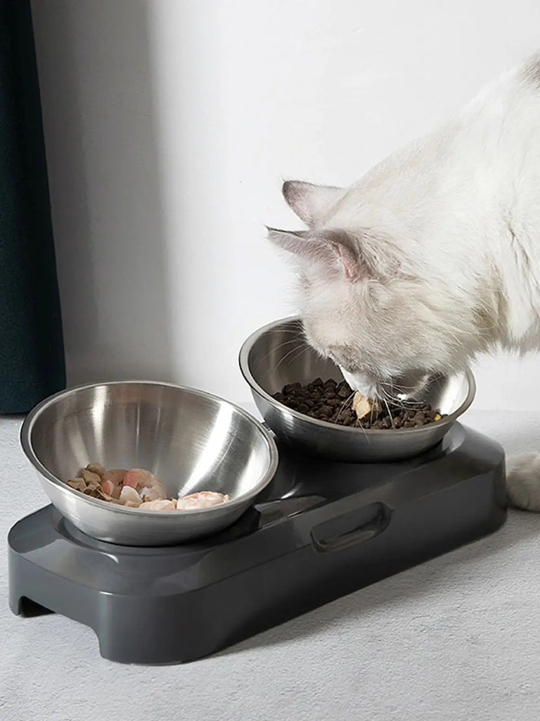 Cat Bowl | Lovely Creative Inclined Feeder | Kitten Puppy Food Bowl | Stainless Steel Pet Dish | 15° Tilt Neck Protector | Anti-Slip Dog Cat Feeder