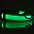 LED Light-Up Dog Collar – High Visibility Safety Collar for Night Walks (Battery Powered)
