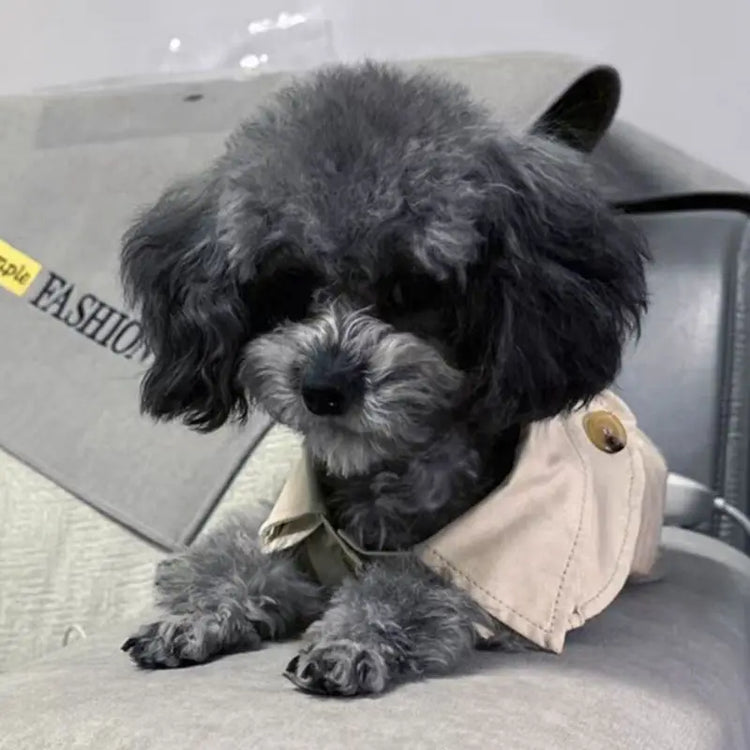 British Style Winter Trench Coat for Small Puppies | Thick Warm Dog Jacket & Hoodie