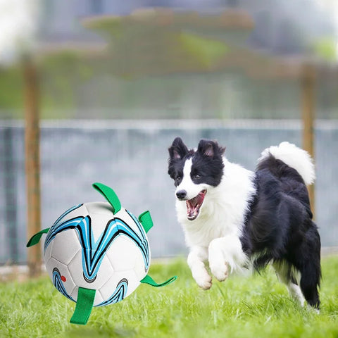 Ball Toys Dog Soccer Ball Interactive Tug Water Toy For Small Medium Dog For Puppy Large Dogs Outdoor Training Pet Bite Chew