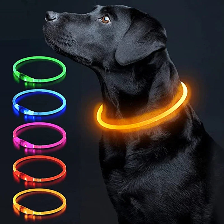 LED Luminous Dog Collar Light Rechargeable Flashing Safety Collar for Nighttime Walking
