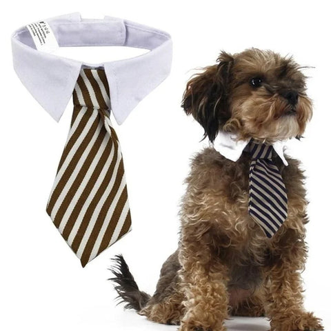 2023 Dog Cat Grooming | Striped Bow Tie - Adjustable Animal Collar | Christmas Pet Necktie | Formal White Collar for Dogs & Cats | Party & Wedding Wear