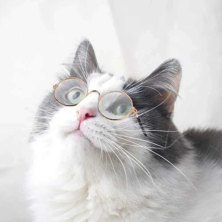 Cat Dog Sunglasses | Funny Pet Glasses - Round Metal Cat Classic Retro Sunglasses with Anti-Slip Belt | Pet Party Costume Photo Props