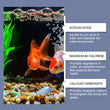 YEGBONG Algaecide 100ml – Rapid Water Purifier & Algae Inhibitor for Fish Tanks and Ponds