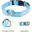 LED Safety Collar For Small And Medium Dogs - Adjustable, Flashing Glow For Night Walking