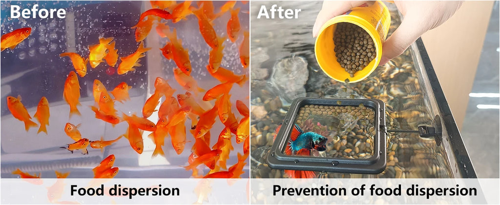Aquarium Feeding Ring Floating Food Tray with Suction Cup – Square Fish Feeder (Black & Blue)