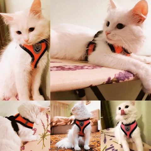 Cat Harness Vest | Walking Lead Leash for Puppy Dogs | Polyester Adjustable Mesh Dog Harness | Small Medium Pet Accessories Collar