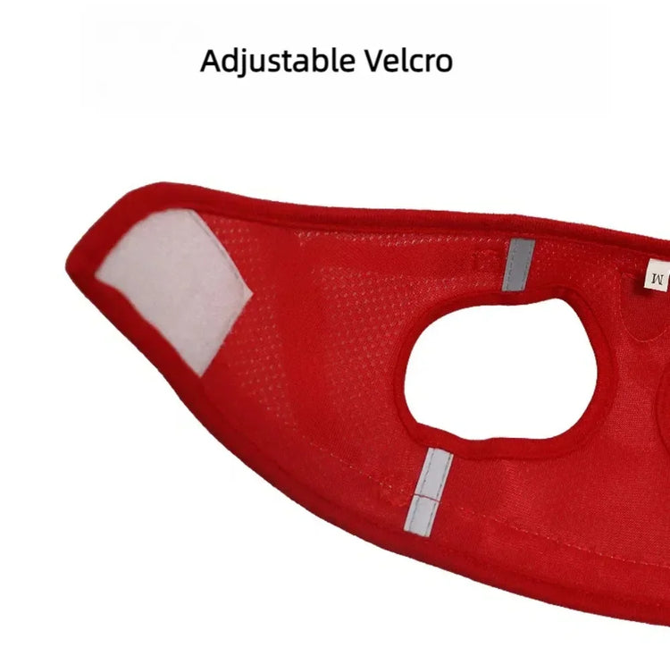 Cat Harness | Lead Leash Set | Adjustable Reflective Escape Proof Pet Mesh Vest Harness | Puppy Dog Collar | Small Dog Cat Pet Supplies