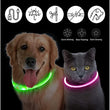 LED Luminous Dog Collar USB Charging Flashing Glowing Safety Anti-Lost Collar for Cats and Dogs          Ask ChatGPT