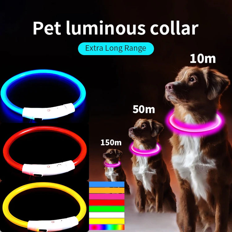 USB Rechargeable LED Dog Collar – Adjustable Luminous Safety Light Collar for Night Visibility