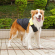 Pet Puppy Clothes Cat Clothing Autumn/Winter Warm Cotton Jacket Outdoor Waterproof Tank Top Small/Medium/Large Dog Costume