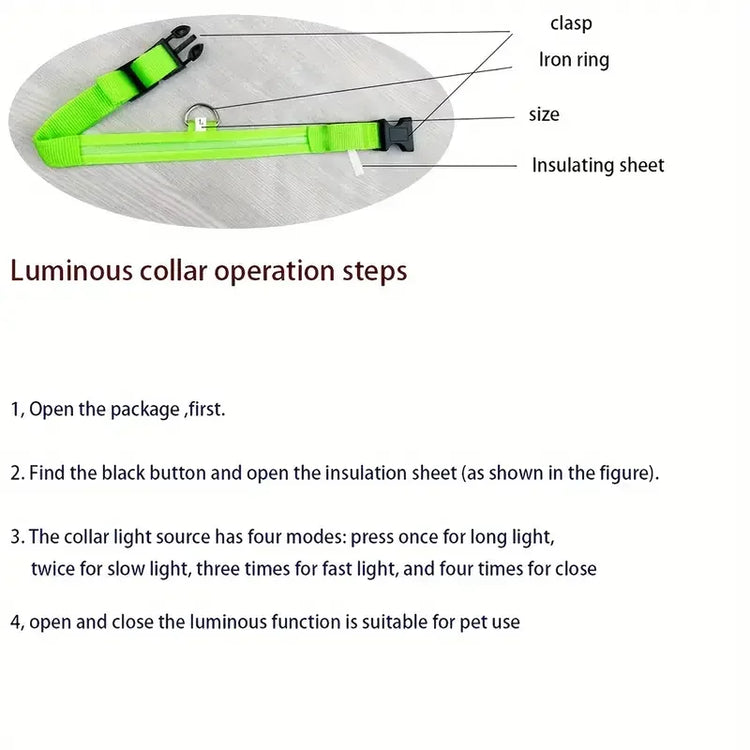 LED Light-Up Dog Collar – High Visibility Safety Collar for Night Walks (Battery Powered)