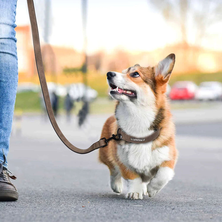 Custom Leather Dog Collar and Leash Set – Personalized, Durable, and Padded for Small to Large Dogs