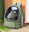 Transparent Pet Carrier Bag | Travel Backpack for Cats/Small Dogs | Breathable Outdoor Tote