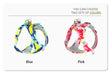 New Dog Cat Harness | Adjustable Vest Walking Lead Leash | Puppy Dogs Collar | Polyester Mesh Harness | Small Medium Dog Cat Pet