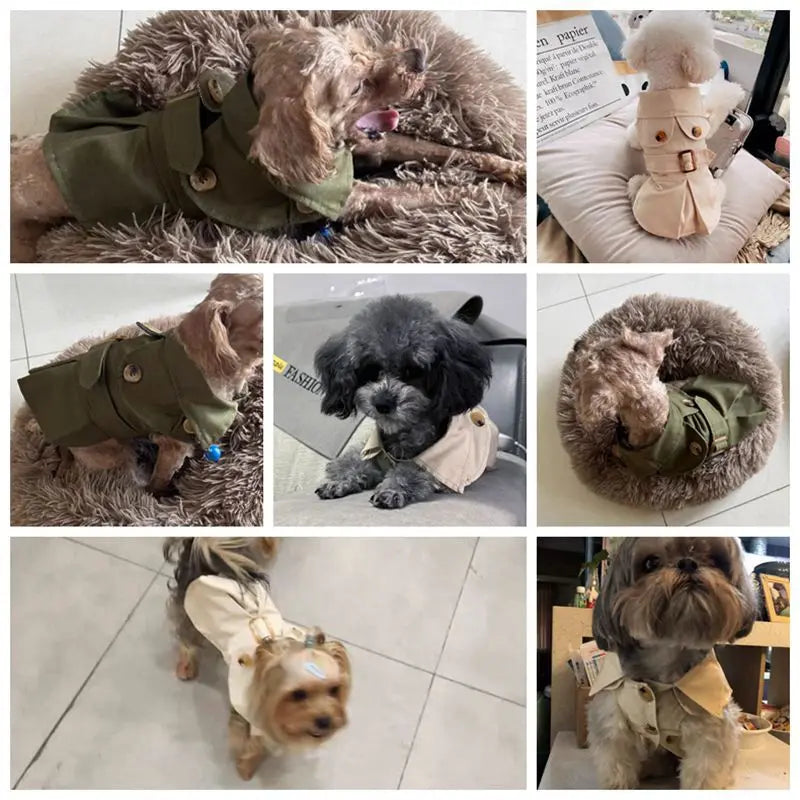 British Style Winter Trench Coat for Small Puppies | Thick Warm Dog Jacket & Hoodie