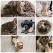 British Style Winter Trench Coat for Small Puppies | Thick Warm Dog Jacket & Hoodie