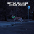 USB Rechargeable LED Luminous Dog Collar – Safety Glowing Night Collar with 3 Light Modes