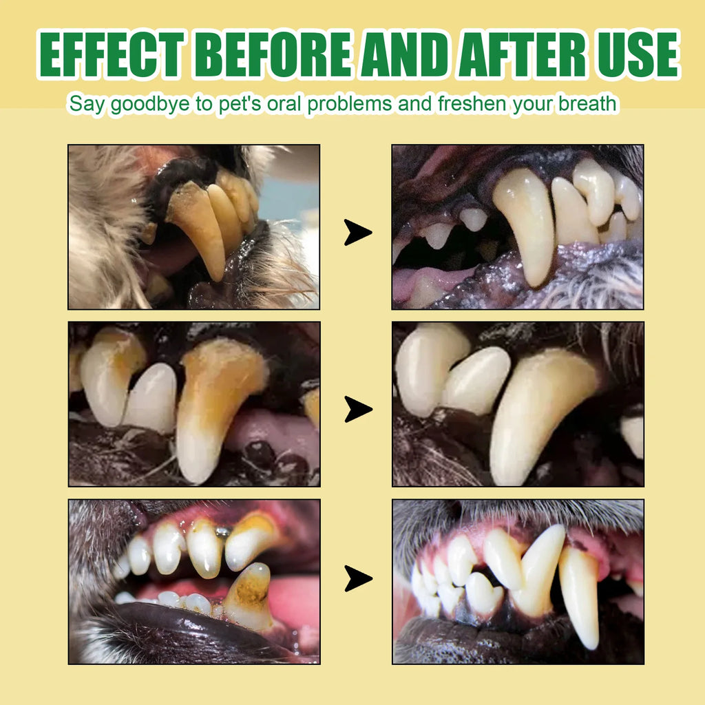 Pet Teeth Cleaning Spray 30ml – Dog & Cat Oral Care, Breath Freshener, Tartar & Stain Remover