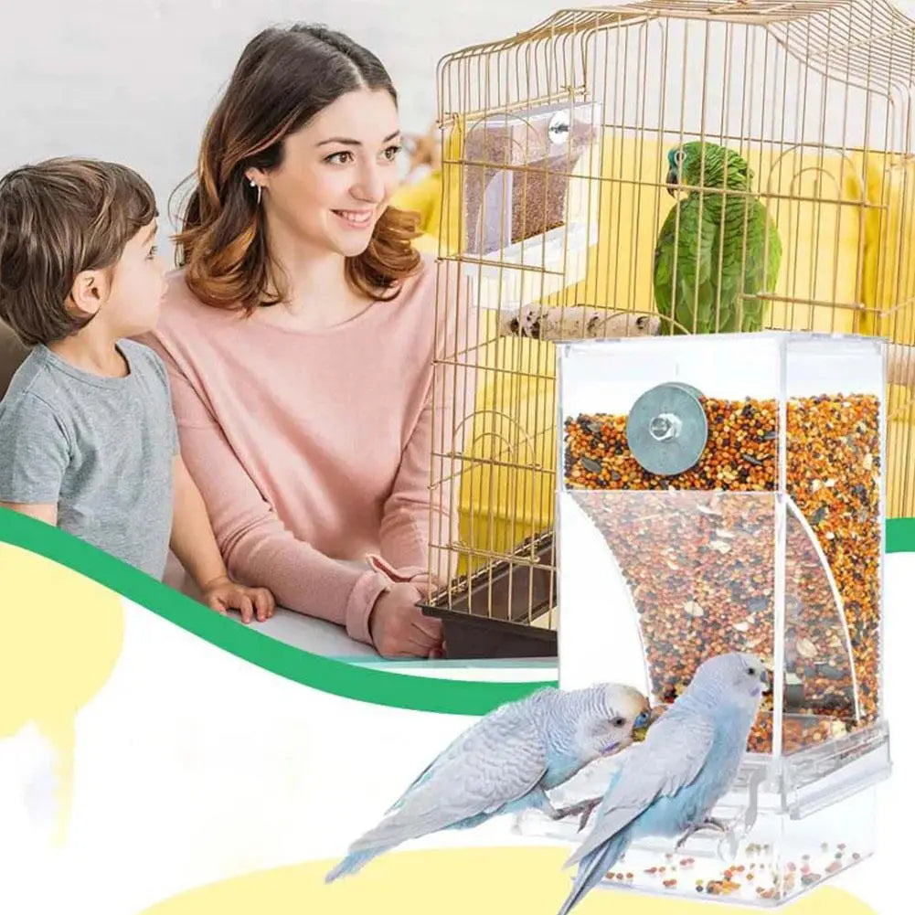 Automatic No-Spill Transparent Bird Feeder | Can Be Hung or Placed on Desktop | Ideal for Small & Medium Parakeets
