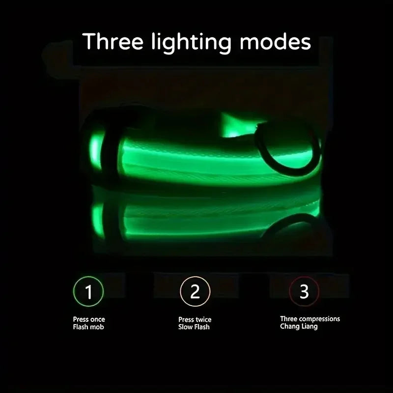 LED Light-Up Dog Collar – High Visibility Safety Collar for Night Walks (Battery Powered)