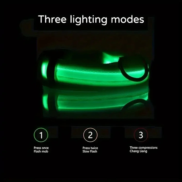 LED Light-Up Dog Collar – High Visibility Safety Collar for Night Walks (Battery Powered)