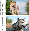 2-in-1 Dog Training & Anti-Bark Collar – Remote Control Shock Collar with Beep, Vibration & Static Modes