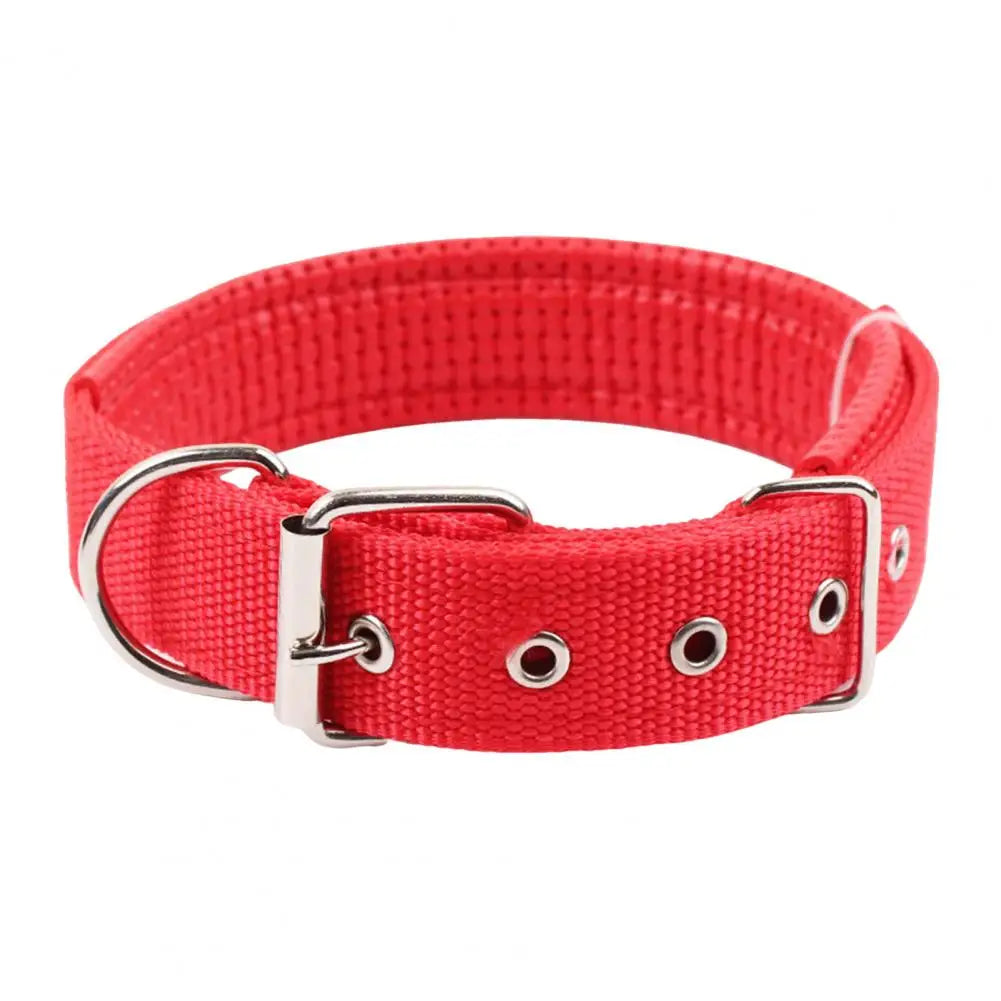 Adjustable Nylon Pet Collar with Traction Ring – Durable and Comfortable Dog Neck Strap