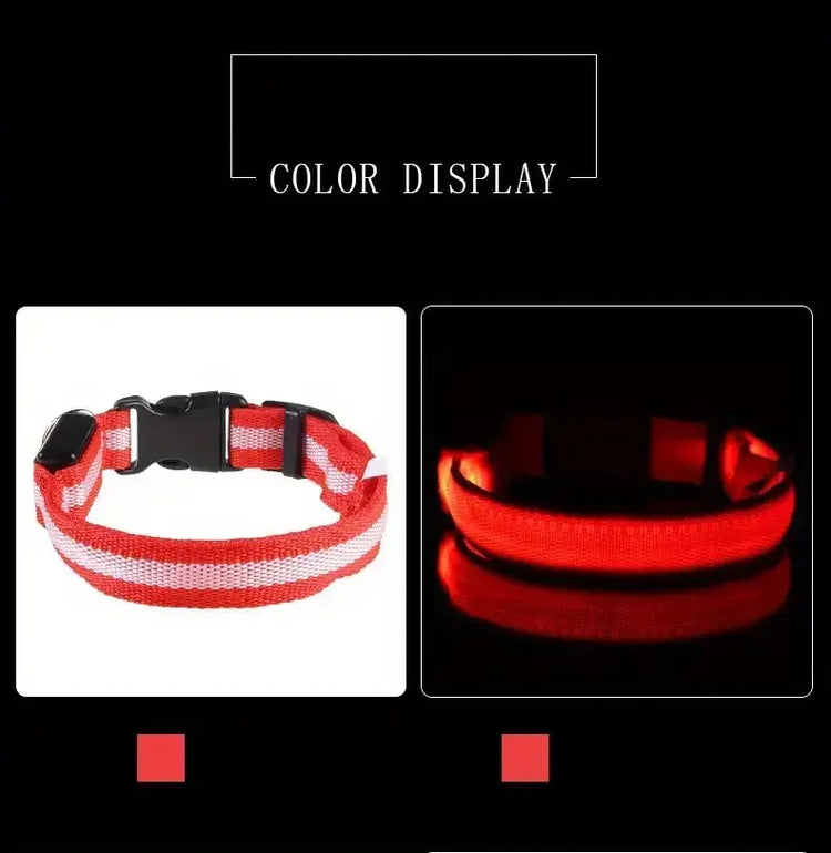 LED Light-Up Dog Collar – High Visibility Safety Collar for Night Walks (Battery Powered)