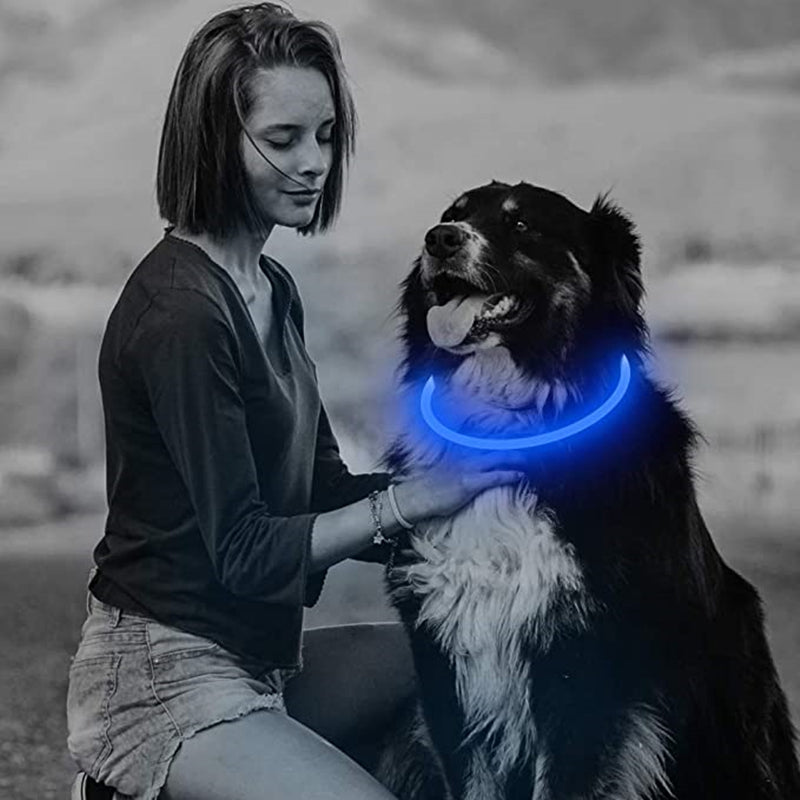 LED USB Rechargeable Dog Collar – Adjustable, Glowing Safety Collar for Pets