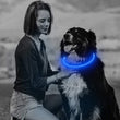 LED USB Rechargeable Dog Collar – Adjustable, Glowing Safety Collar for Pets