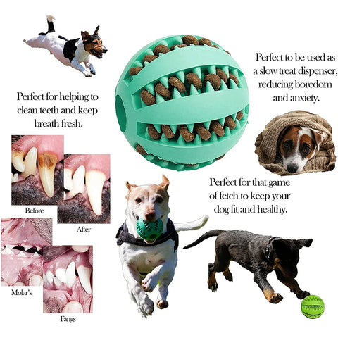 Interactive Rubber Dog Ball Toy – Chew, Clean Teeth & Snack Dispenser