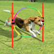 Outdoor Dog Obstacle Training Set – Agility Equipment for All Breeds