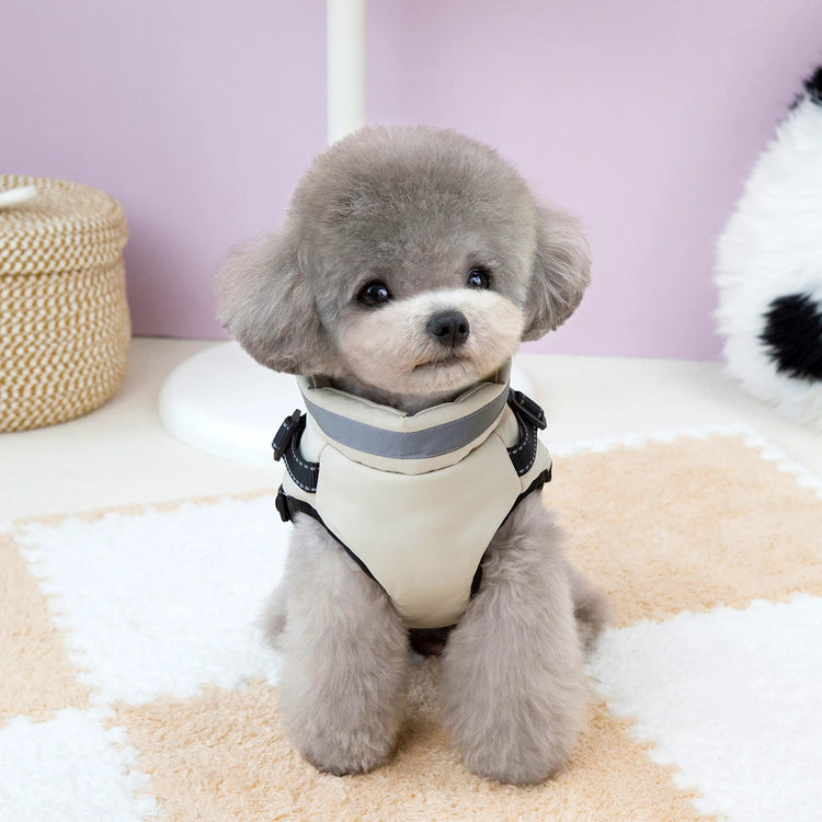 Warm Winter Clothes for Small & Medium Dogs | Windproof Puppy Jacket Vest | Chihuahua, French Bulldog & Yorkie Outfit
