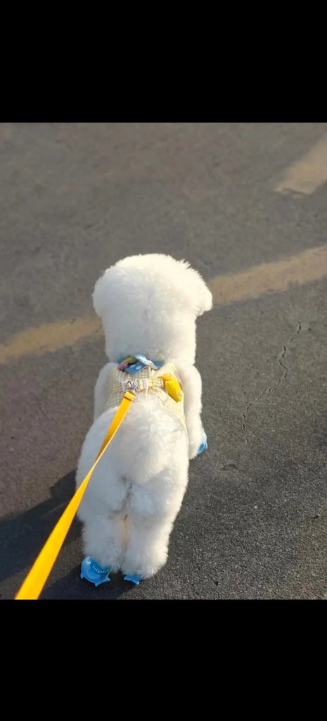 Comfort Cotton Harness & Leash Set – For Small Dogs, Cats & Bunnies